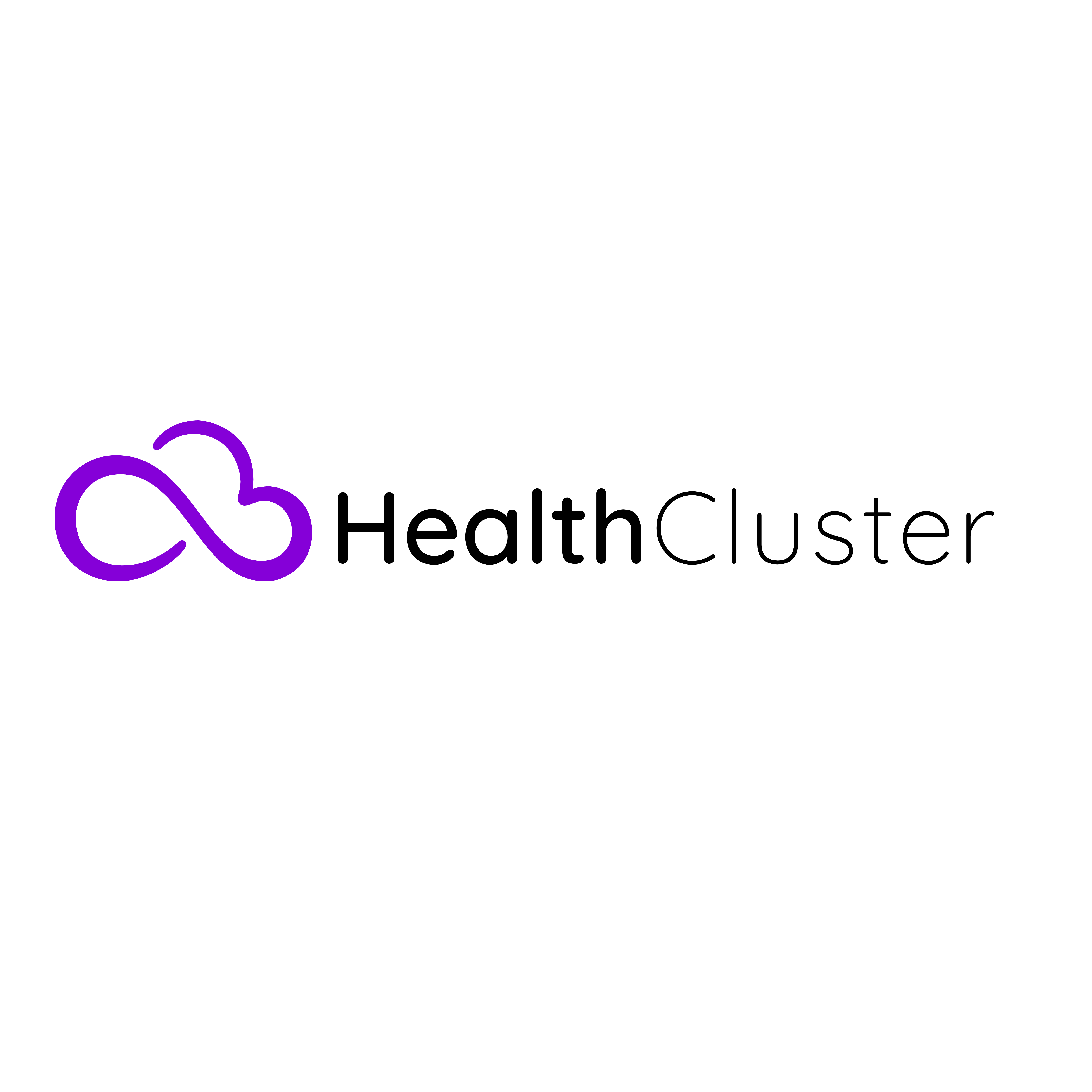 Health Cluster